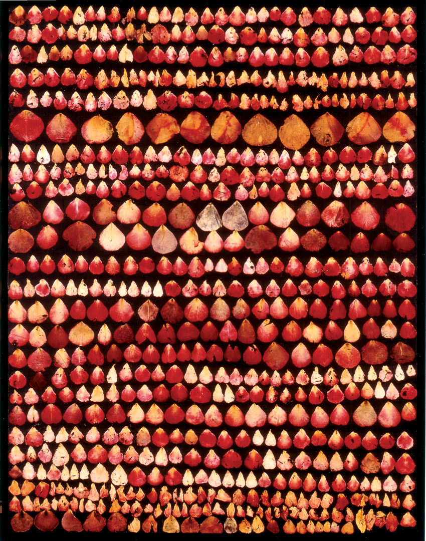 Rosen-1993-10