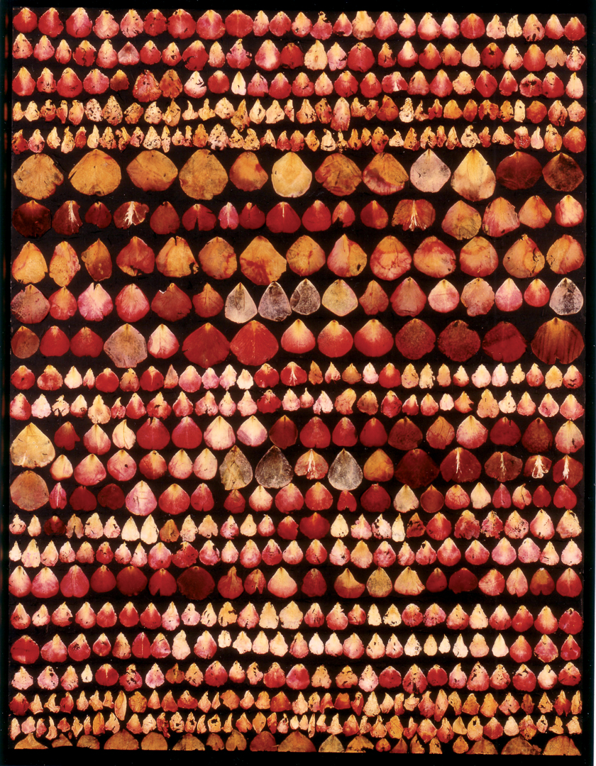 Rosen-1993-11