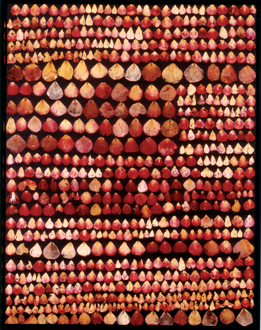 Rosen-1993-12