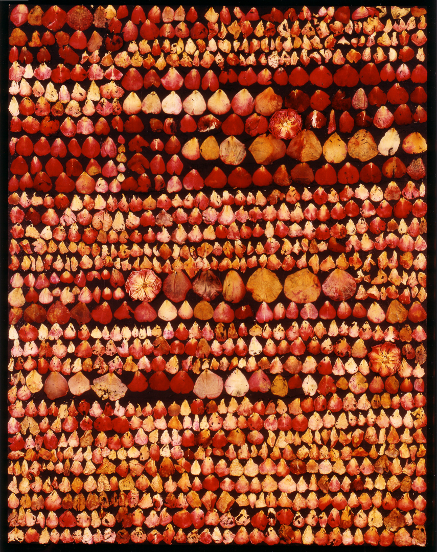 Rosen-1993-13
