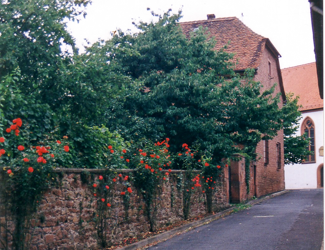 Rosen-1993-14