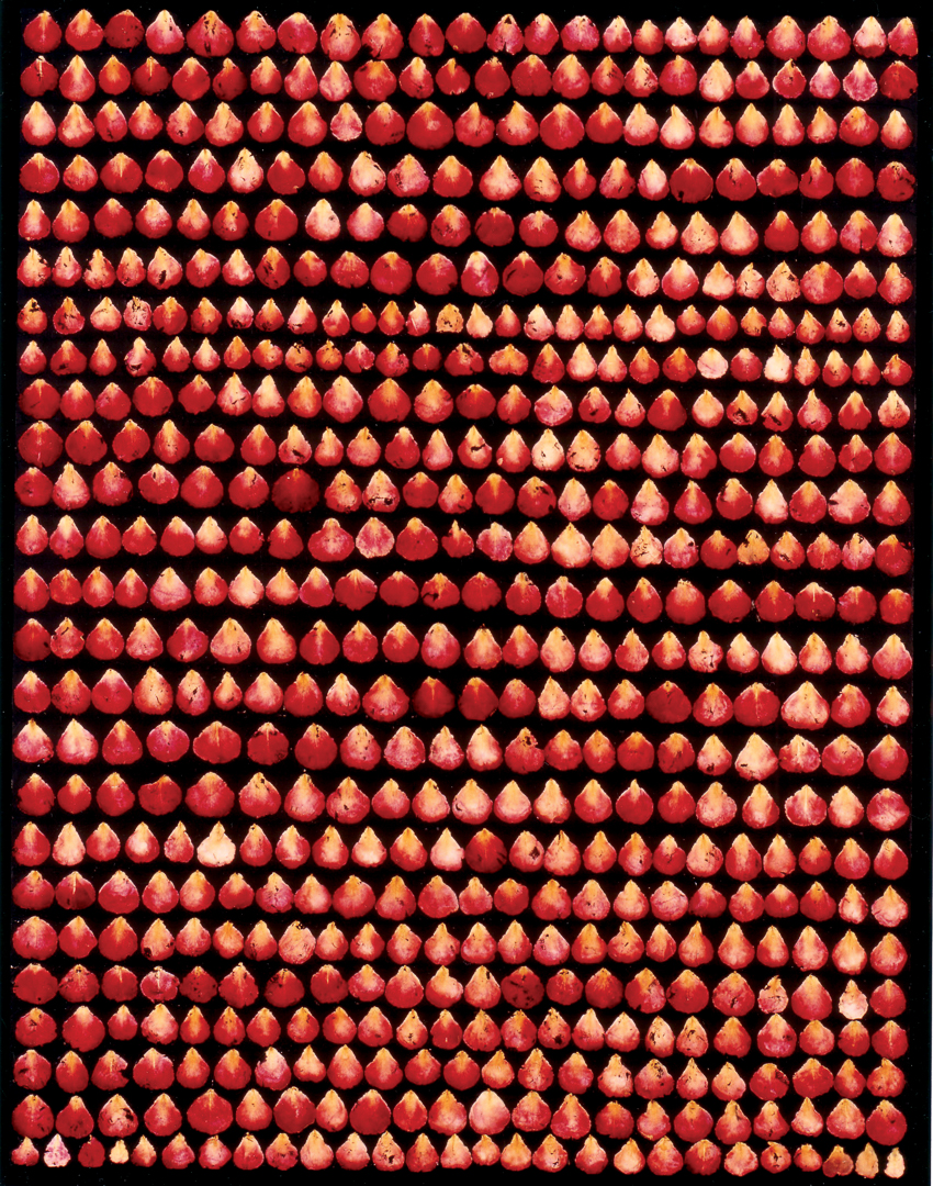 Rosen-1993-2
