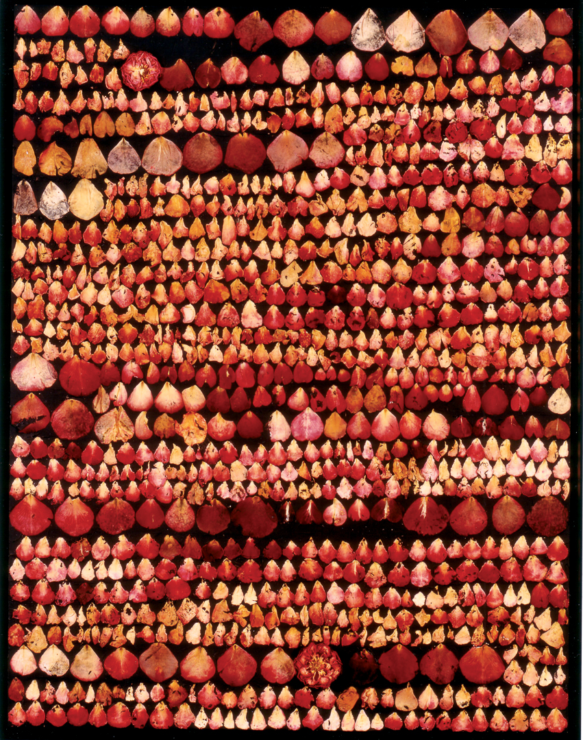 Rosen-1993-4