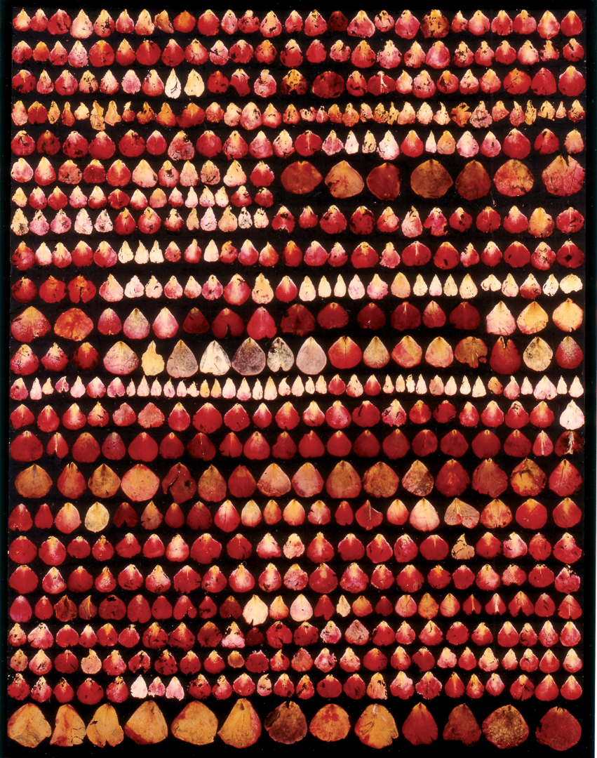 Rosen-1993-7