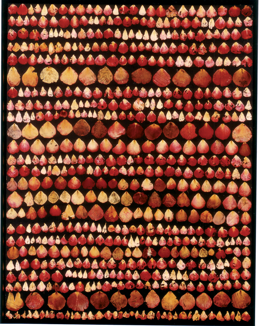 Rosen-1993-9