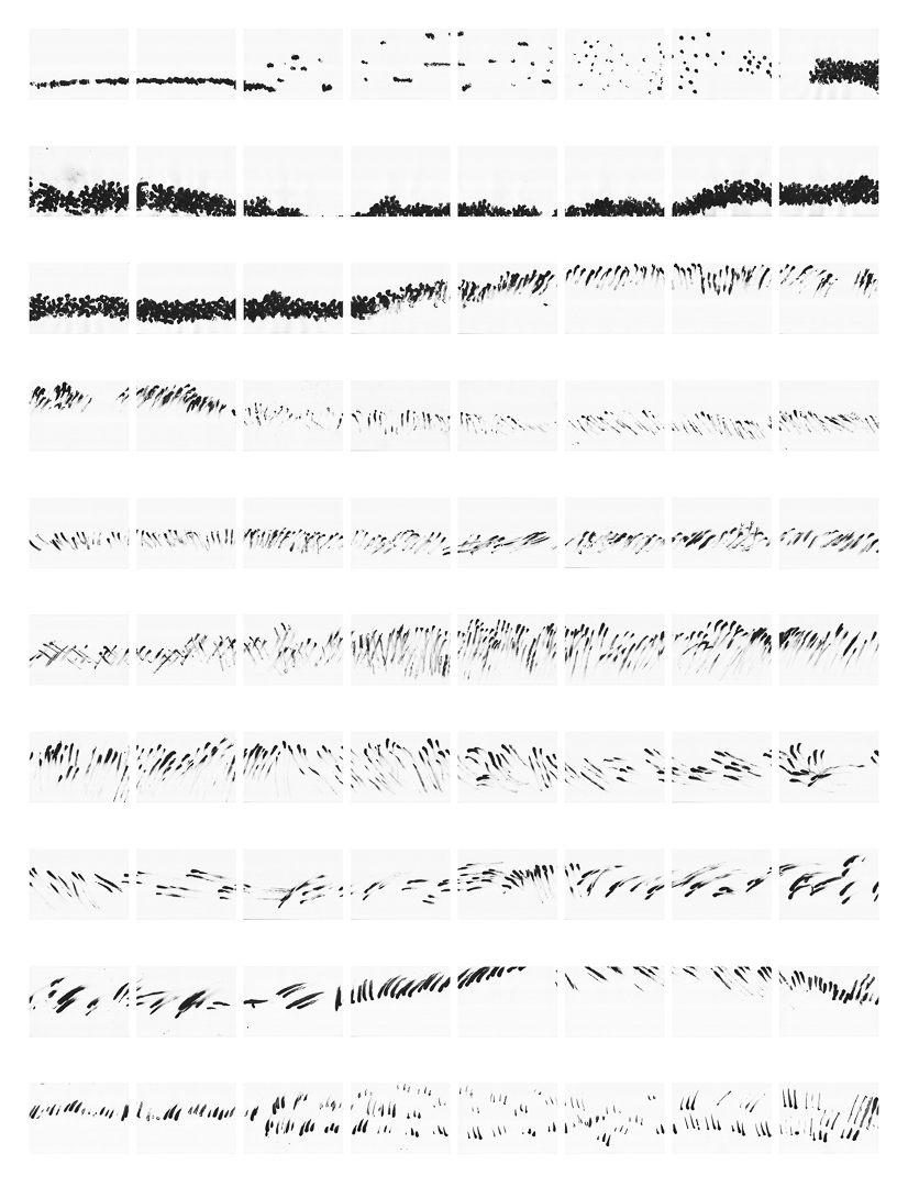 Peripatos-4